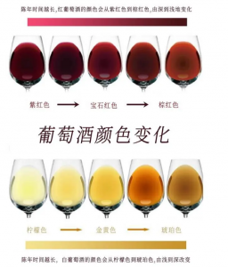 分光测色仪TS8760测量葡萄酒色度方法
