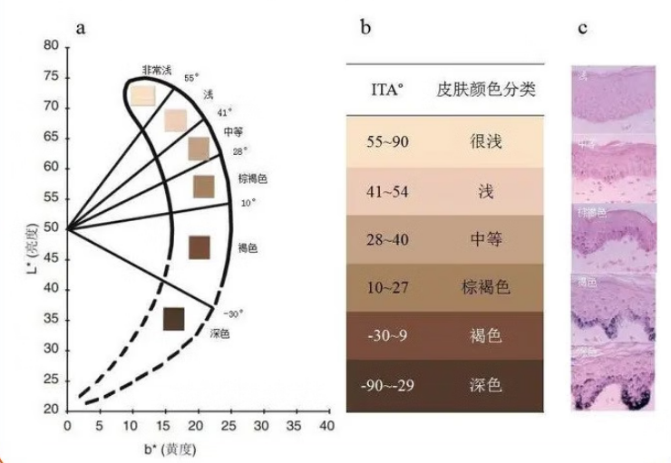 色差仪测量皮肤颜色