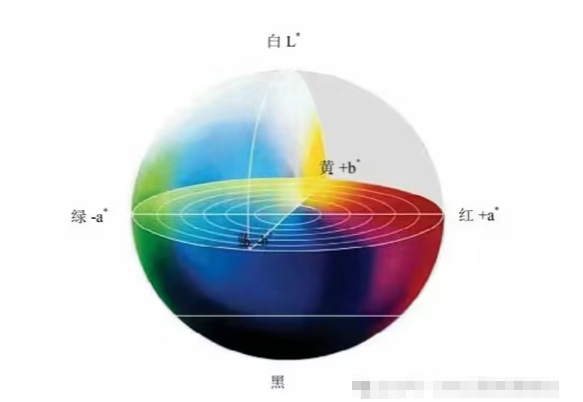 1767693738257996.png image.png